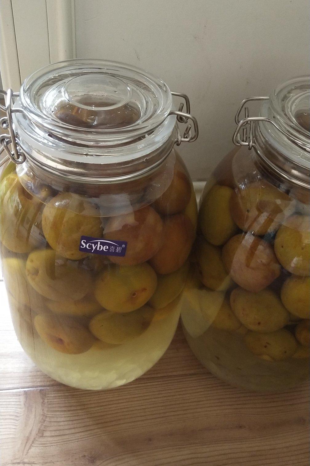 青梅酒（优的春日私酿第二話）