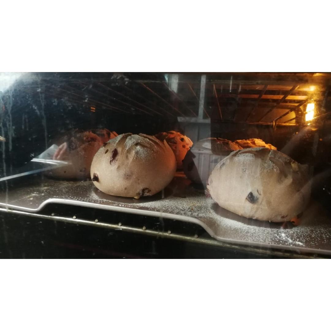 红酒黑加仑乳酪包