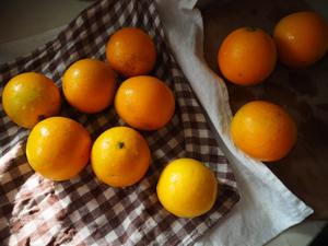 糖渍橙皮丁的做法 步骤1