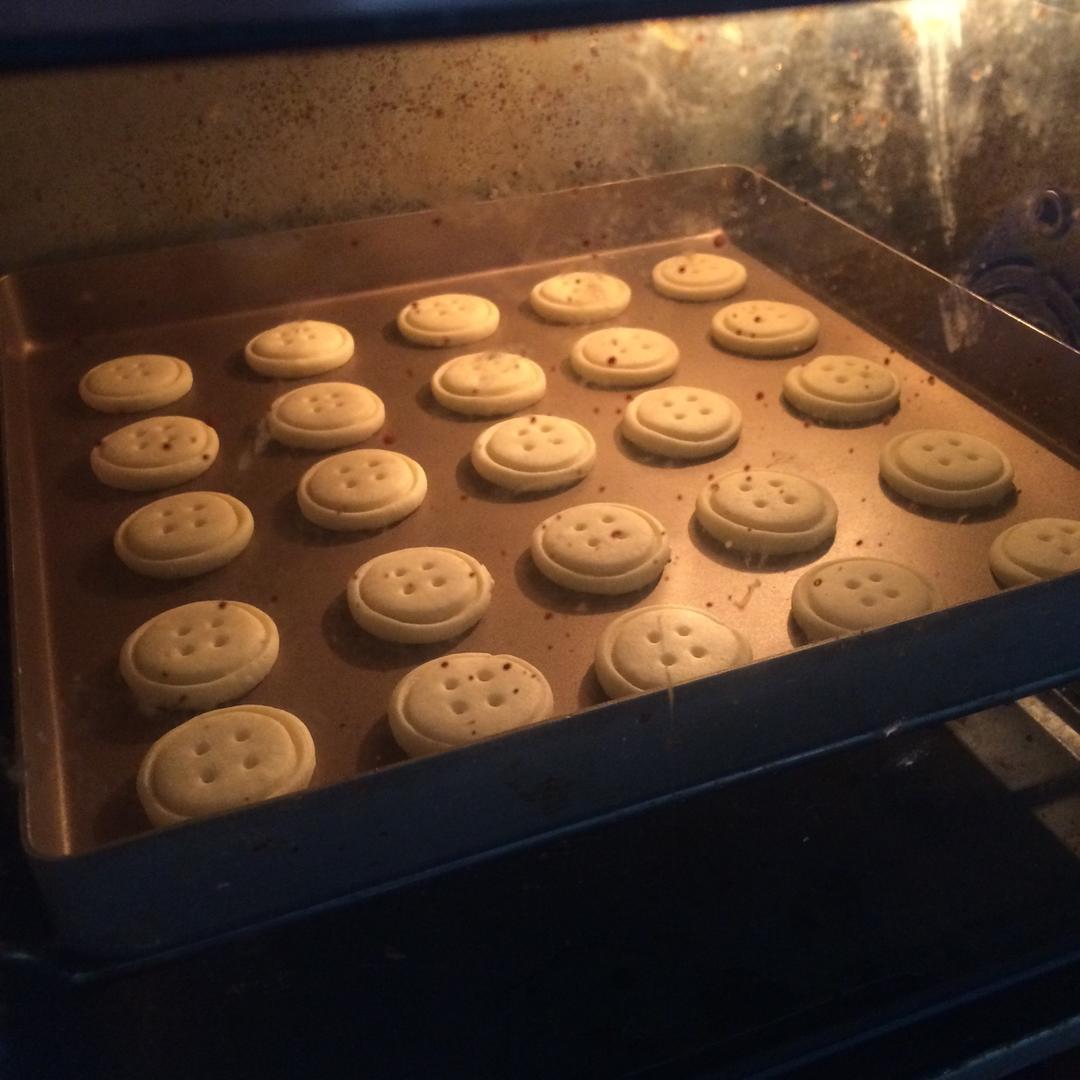 纽扣饼干┃萌到没朋友
