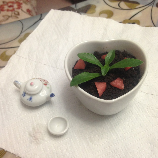 酸奶盆栽/继续延续小清新风/治愈系甜品