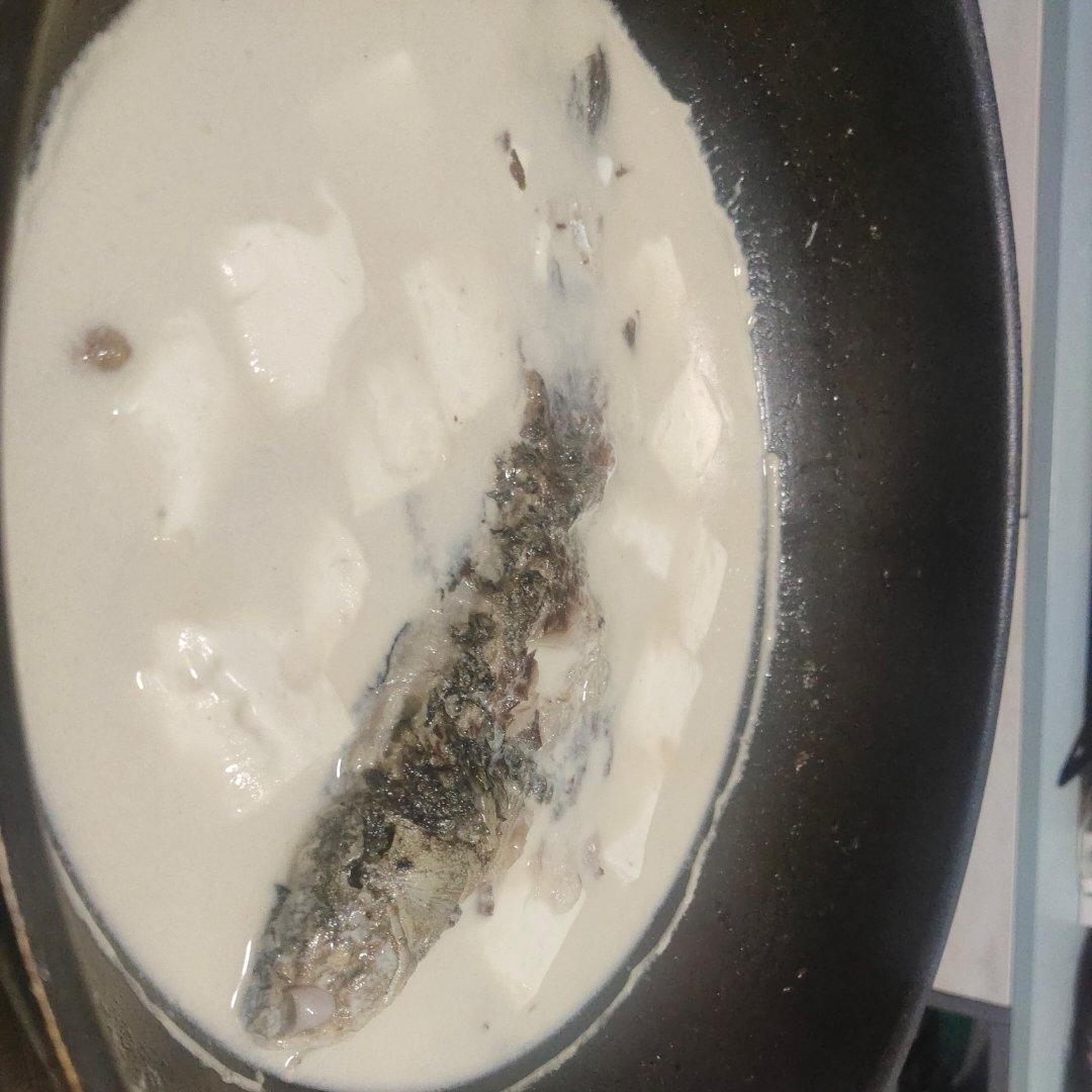 鲫鱼汤(鲫鱼豆腐汤)