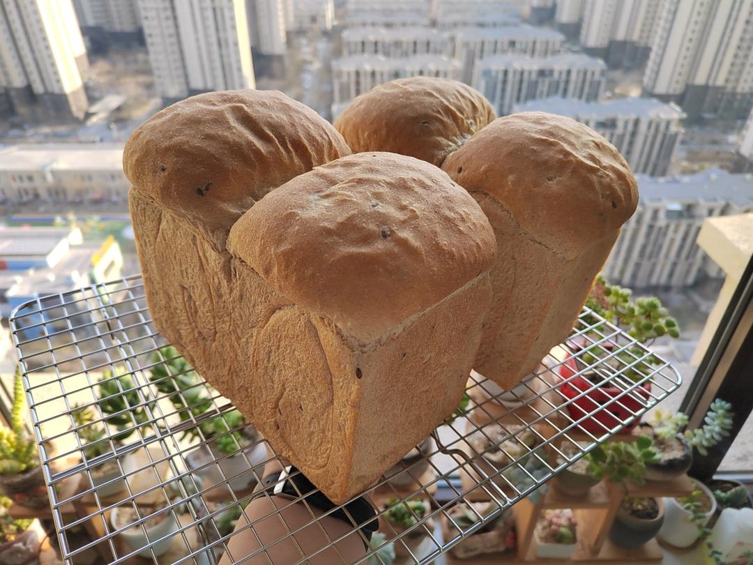 牛奶面包卷【3月北鼎烤箱食谱】