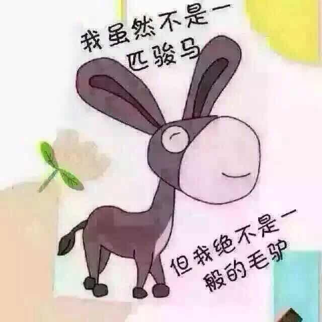骑着毛驴去买菜了
