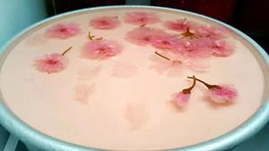 樱花酸奶粉红慕斯蛋糕的做法 步骤11