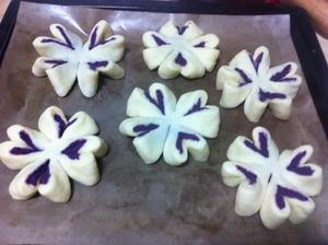 紫薯四叶草面包的做法 步骤12