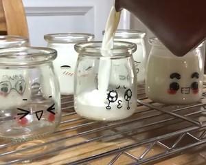 【UKOEO高比克】酸奶（发酵箱版）的做法 步骤12