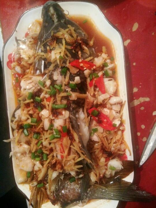 多宝鱼做法大全：清蒸多宝鱼的家常做法