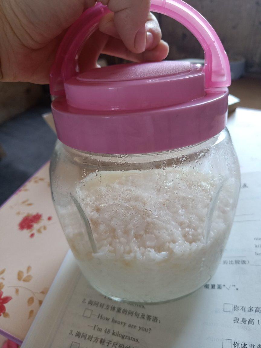 6分钟自制米酒【省事米酒最简易的打开方式】ヽ(•̀ω•́ )ゝ自制酒糟.醪糟.酒酿