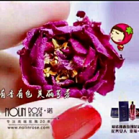 手机用户2033_ia26