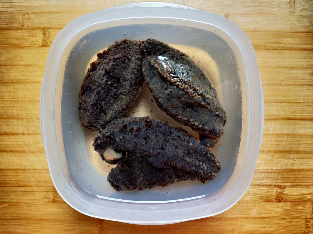 279泡发北极海参