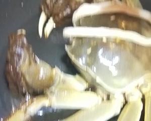 清煮活大闸蟹的做法 步骤3