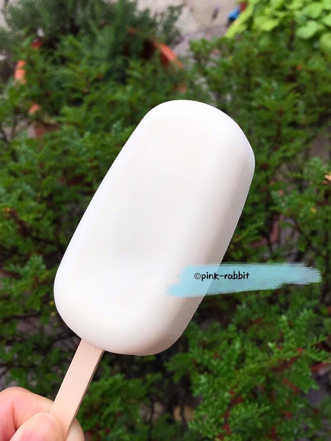 雪糕冰棍冰棒系列之最简单快手冰棒：酸奶冰棒 by pink-rabbit的做法