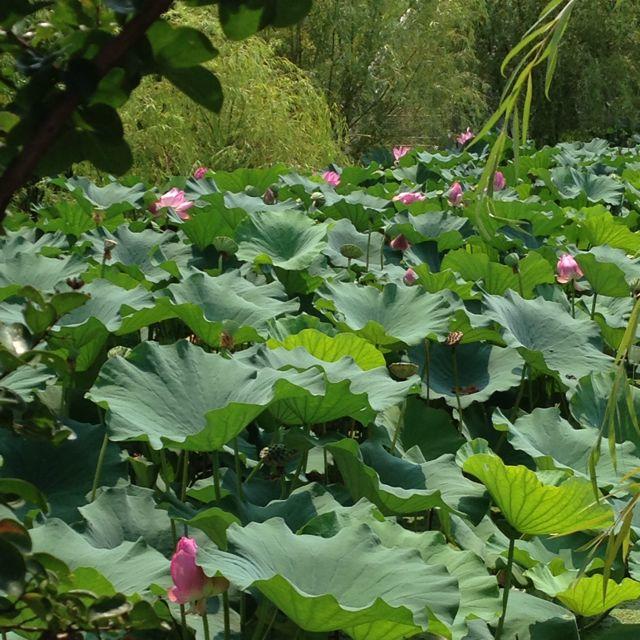 手机用户3252_2zro