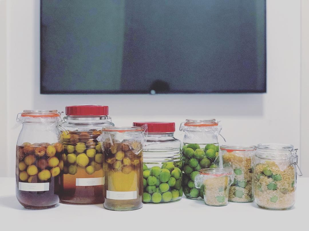 【青梅酒】梅子的沉醉时光（已填坑）