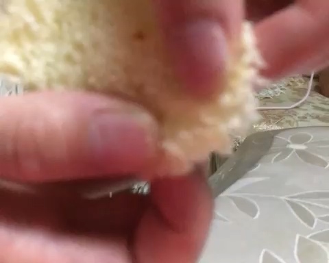 面包机做面包的做法