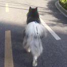 胡萝卜诶