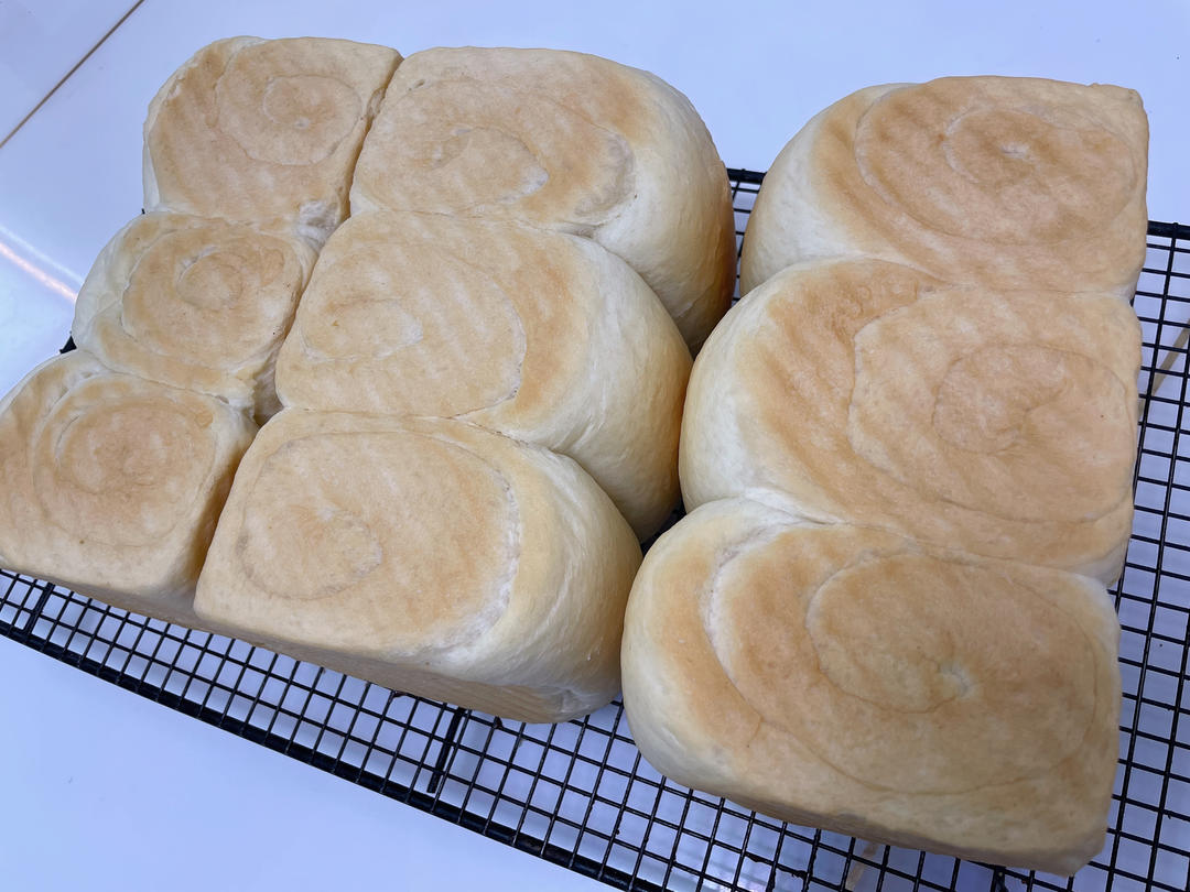 《Tinrry+》软绵绵的白吐司