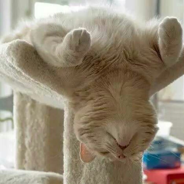 清风宜人_19的厨房