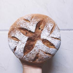 秋之味～栗子软欧面包的做法 步骤7