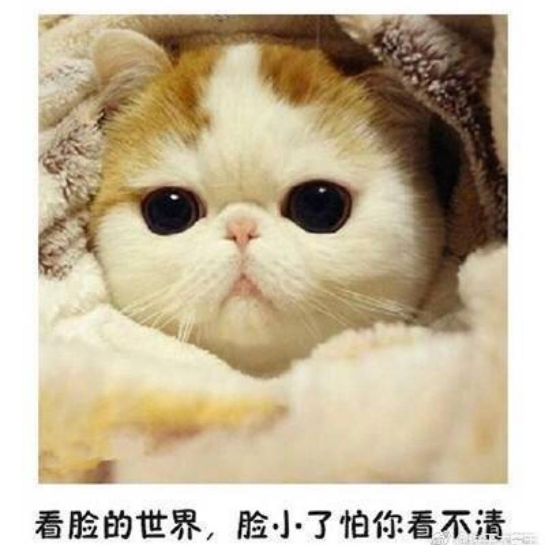 用美食治愈自己的妹子