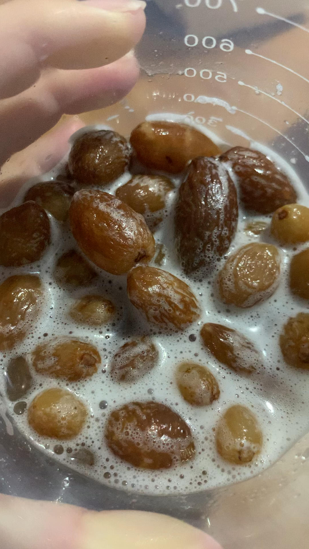 面包天然酵母培养使用全攻略                                           （葡萄天然酵种）