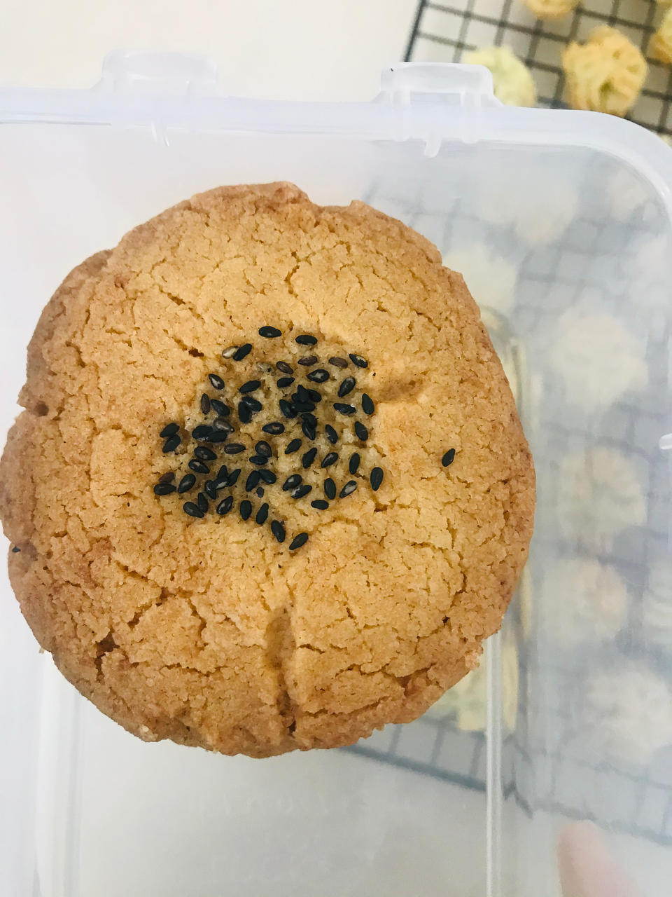 桃酥普通面粉～超简单零失败（老式）