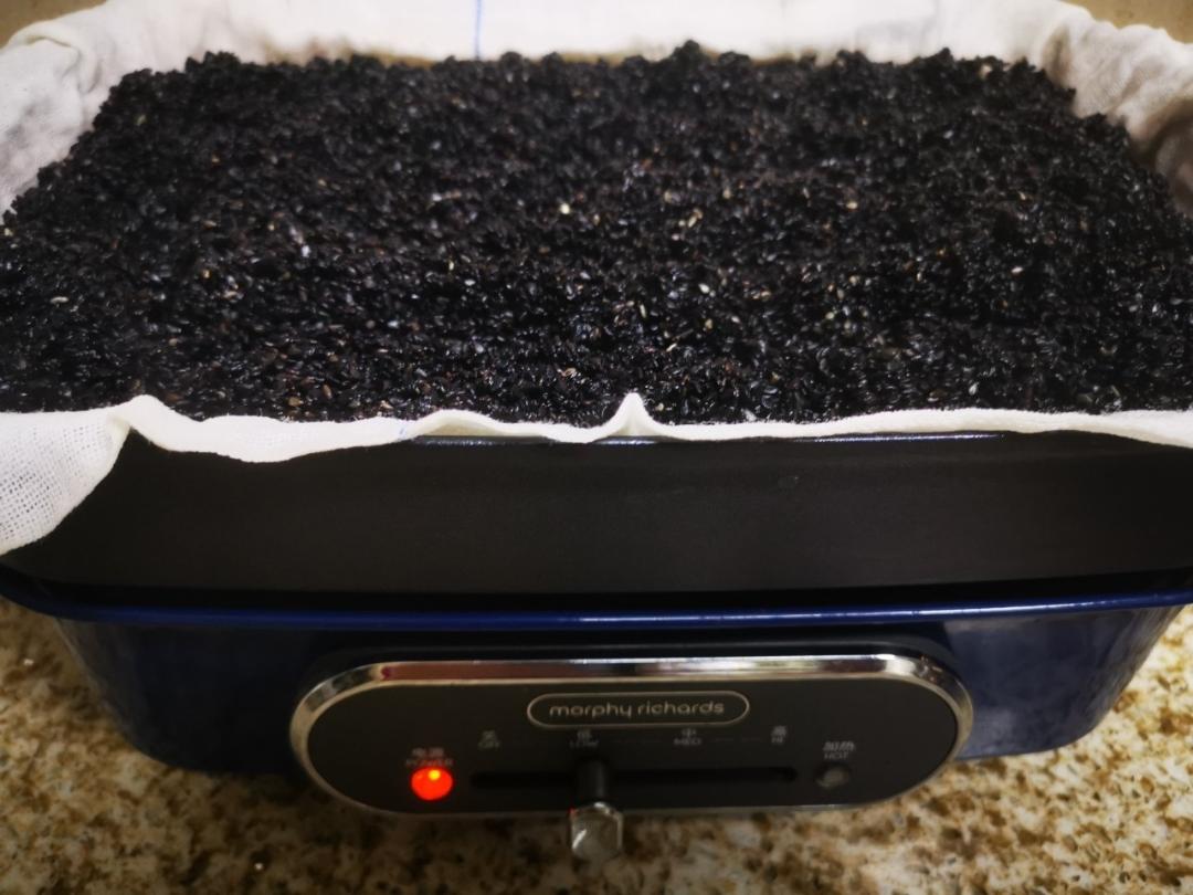 ㊙️㊙️头发乌黑浓密｜芝香浓郁｜香甜小满足｜九蒸九晒黑芝麻丸