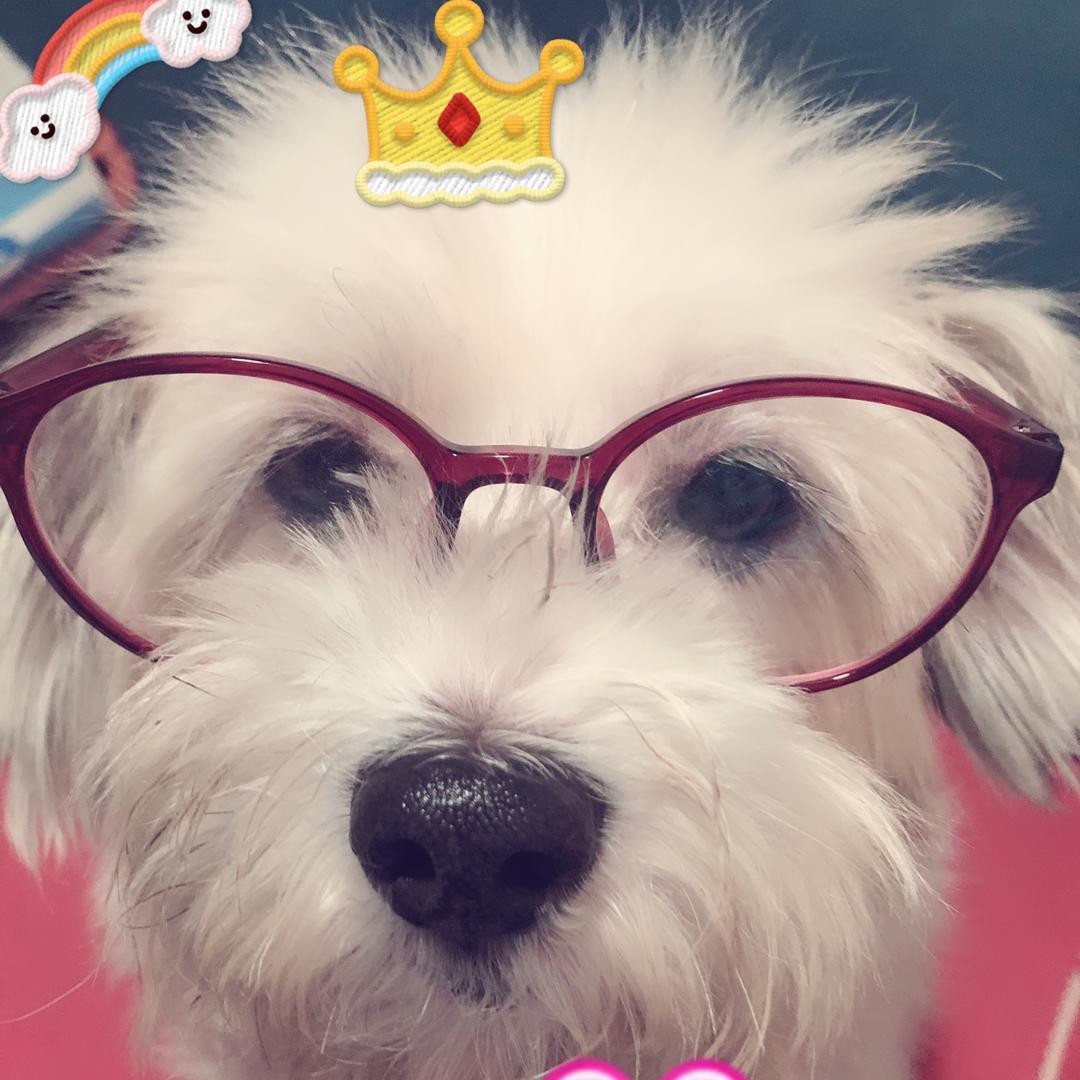 龚昶蕲