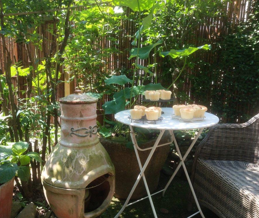 蓝莓戚风小蛋糕