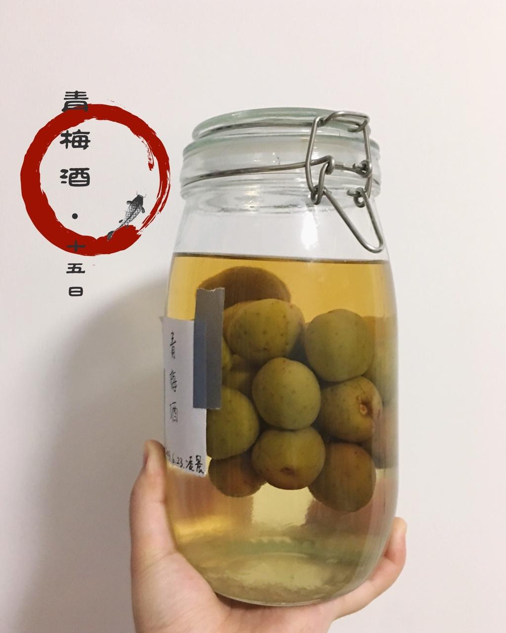 【青梅酒】梅子的沉醉时光（已填坑）
