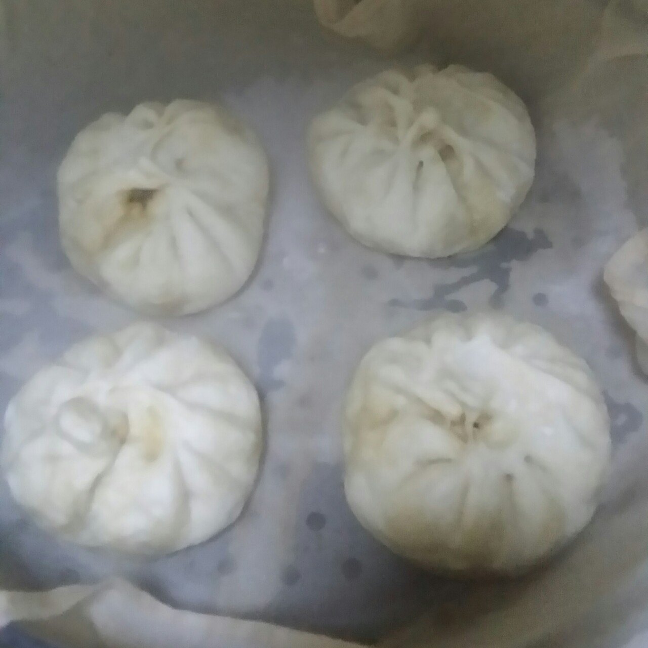 肉包子,杠杠的