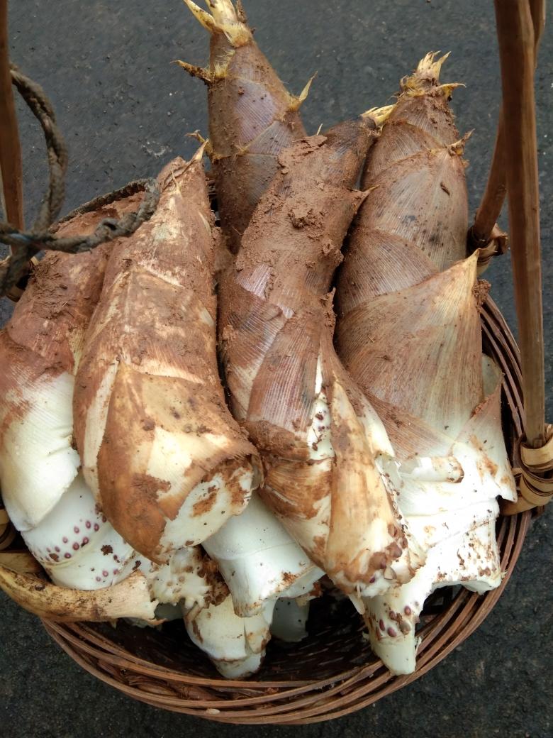 为你支招,怎样挑选毛竹笋?的做法 步骤12