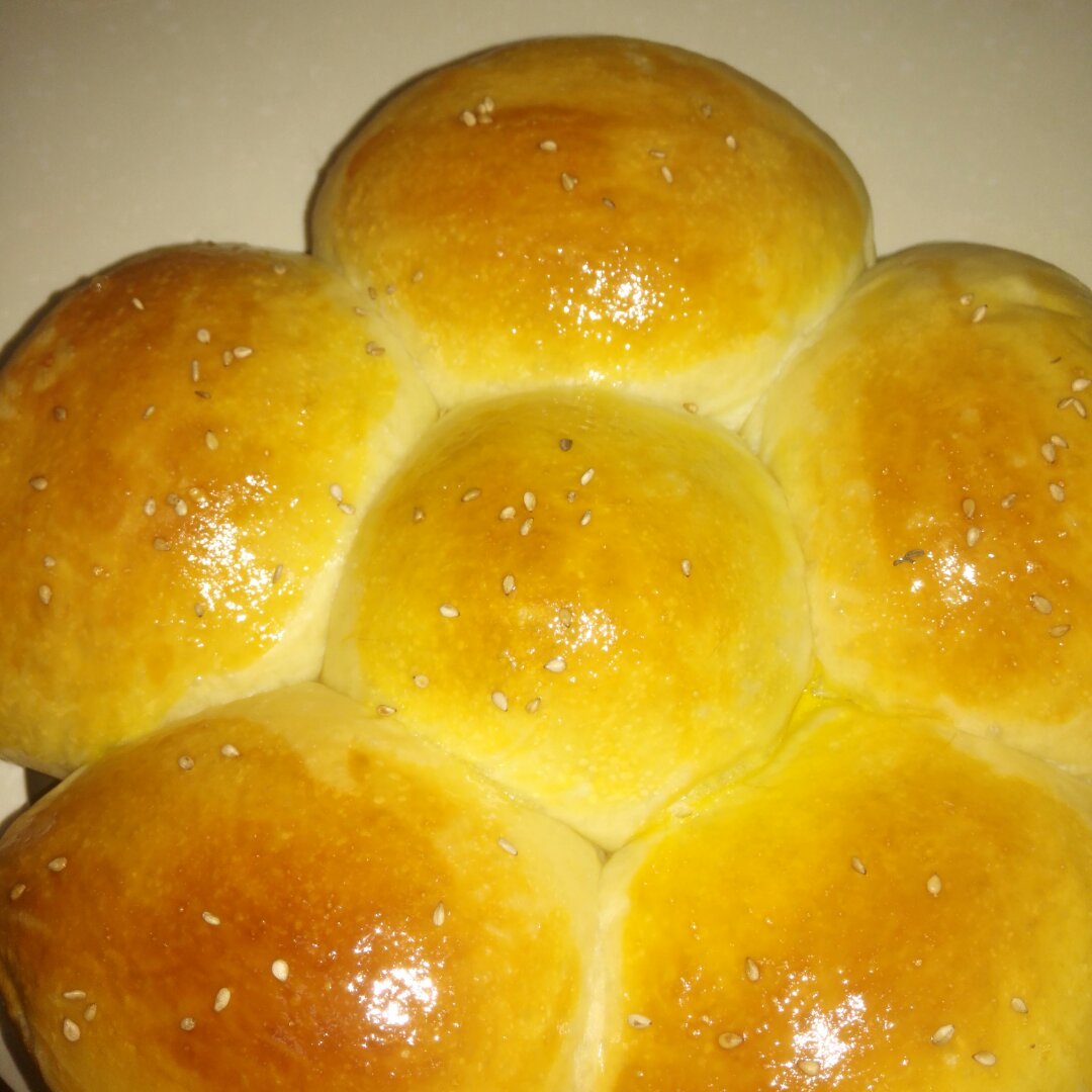 炼乳吐司～中种，