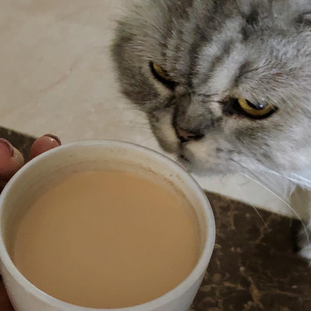 泰国阿姨手把手教你做泰式奶茶