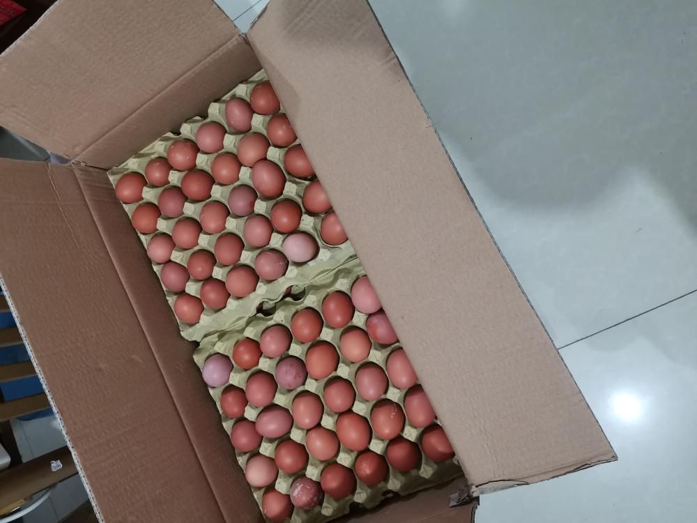 289卡苹果鸡蛋饼