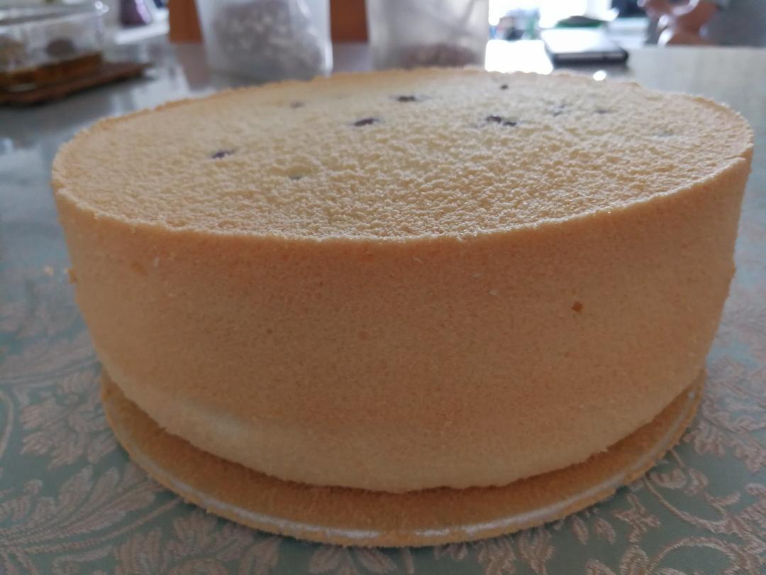 原味戚风蛋糕 女侠森森