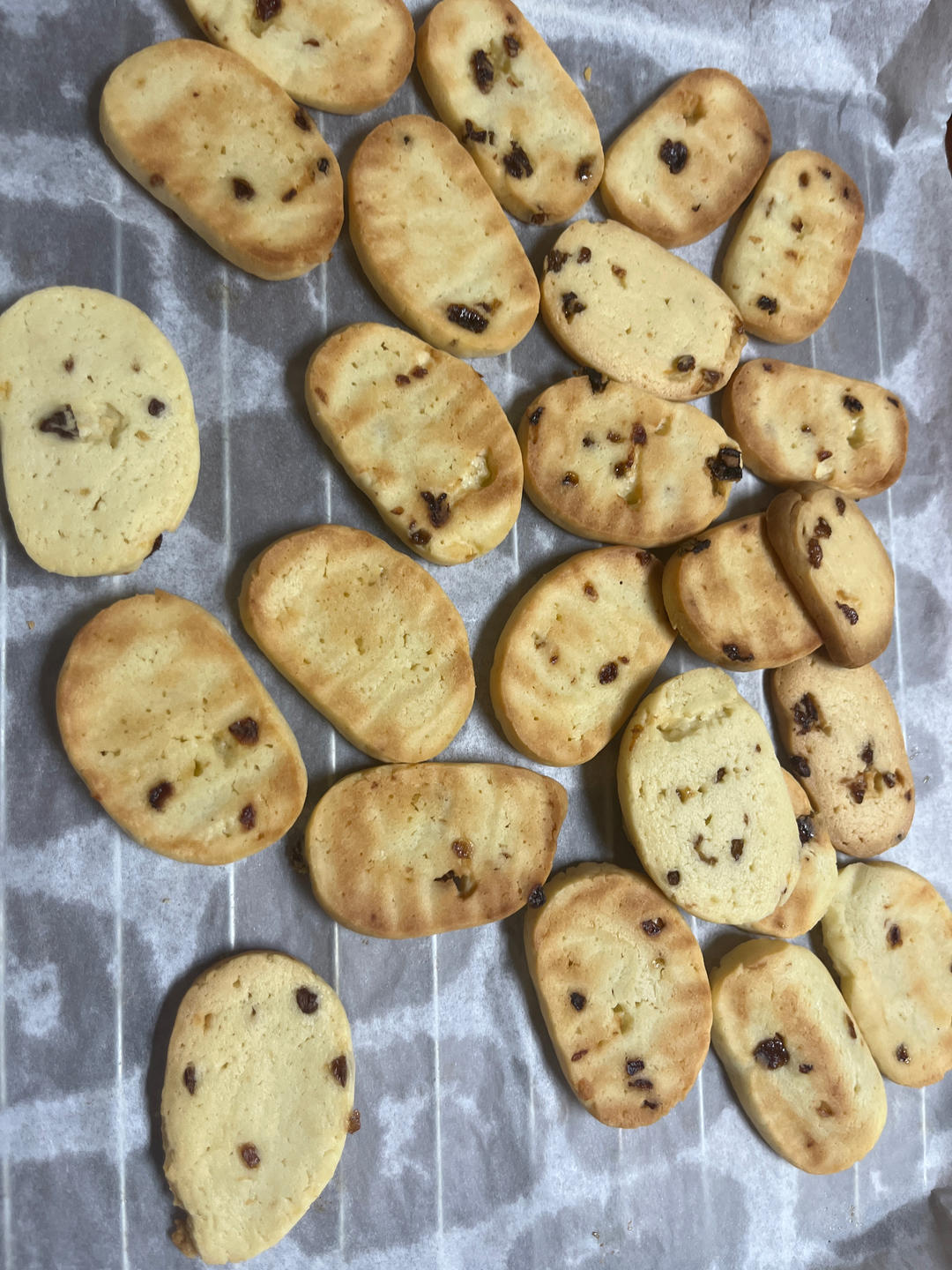 大圣零食：蓝莓饼干（一岁以上宝宝）