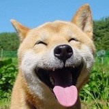 尼古拉斯凯音