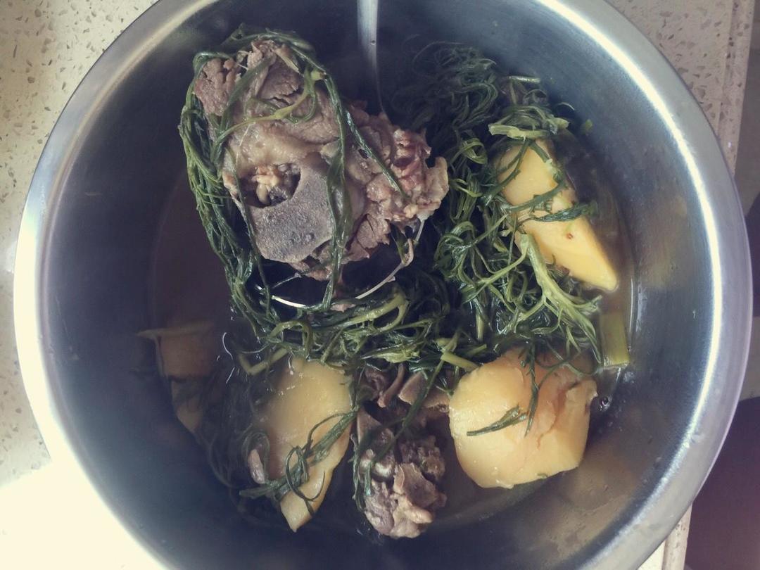 好吃不腻的柳蒿芽炖排骨