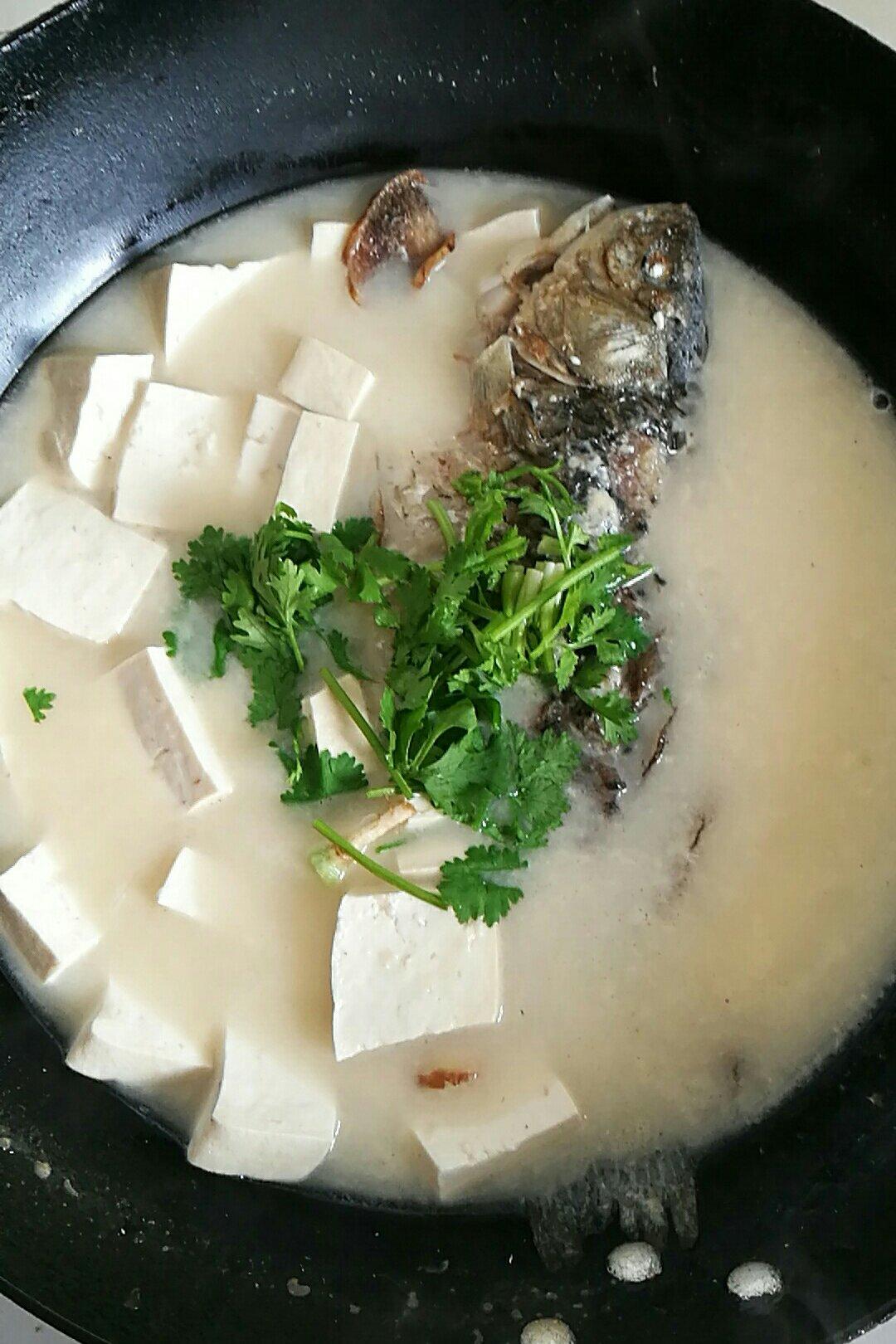手机用户2226_klyo做的鲫鱼豆腐汤