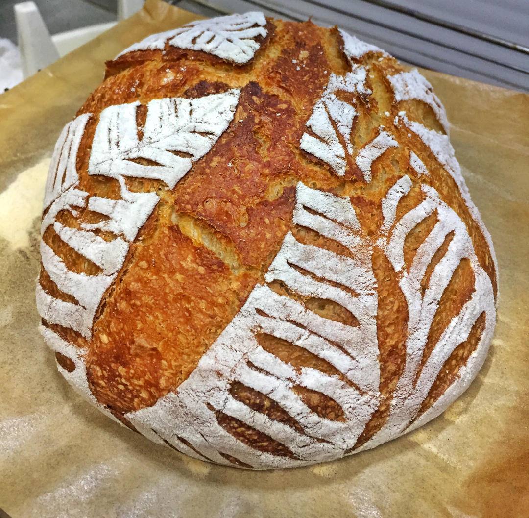 黑麦坚果软欧包 波兰种 中种法