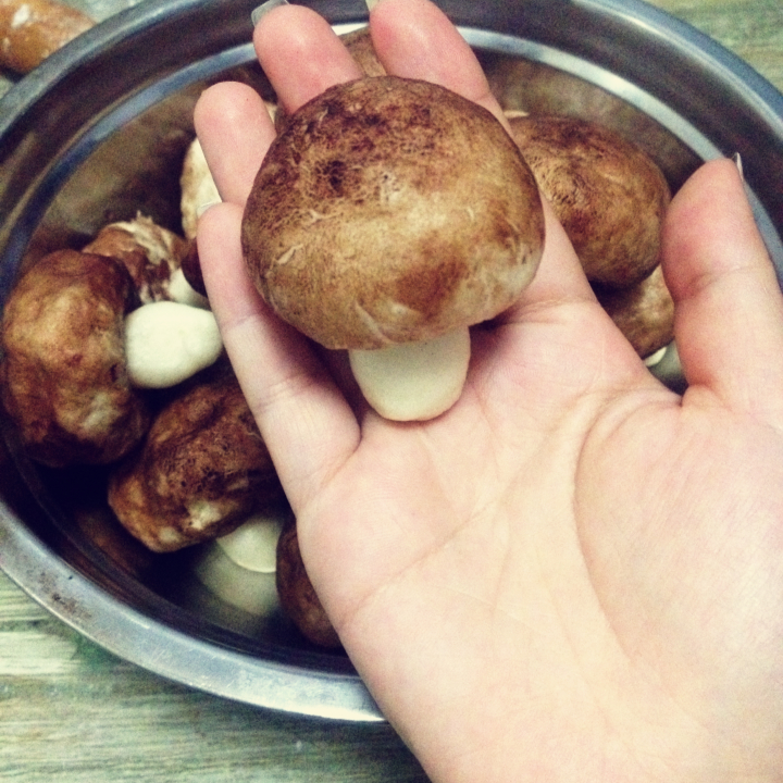 蘑菇包（奶黄馅）