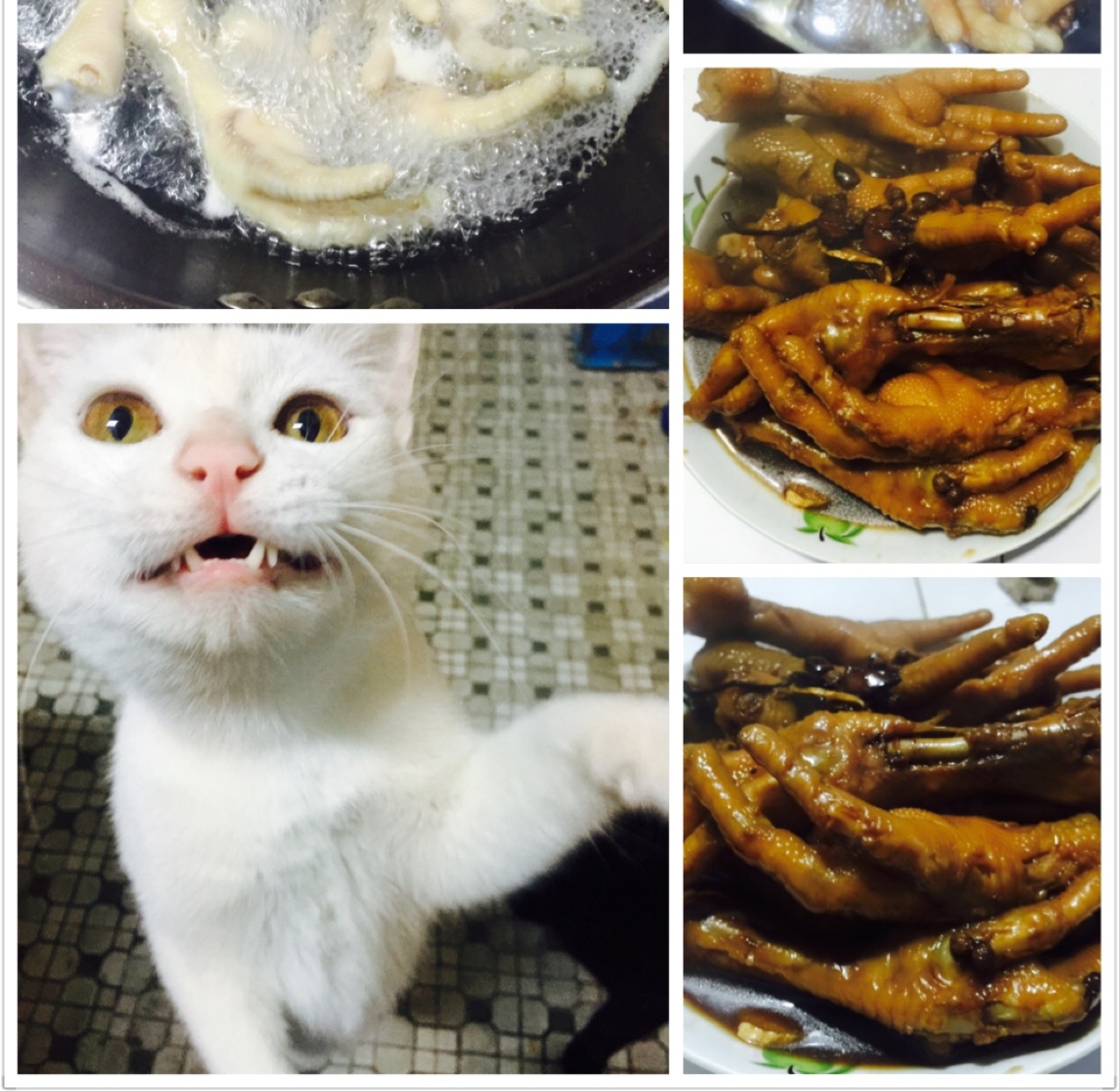 秘制红烧鸡爪