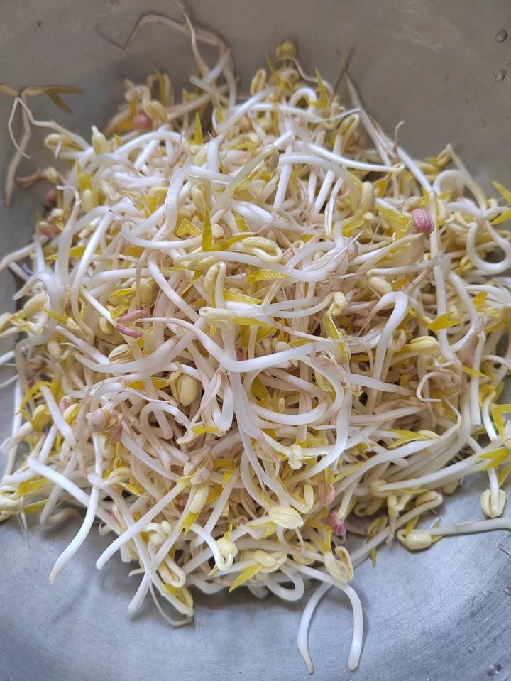 自发绿豆芽/自生豆芽/自制豆芽