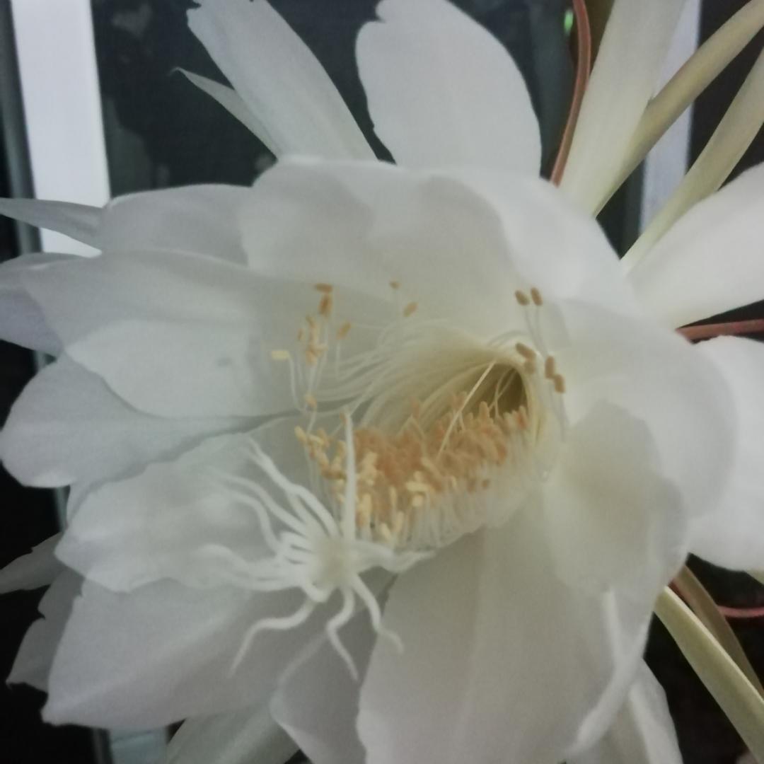 渔乐人生杜的厨房