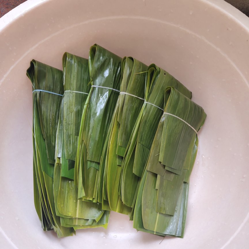 新鲜粽叶的处理方法