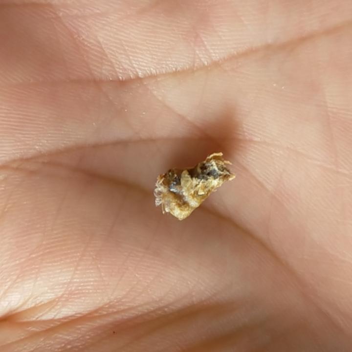 马甲5