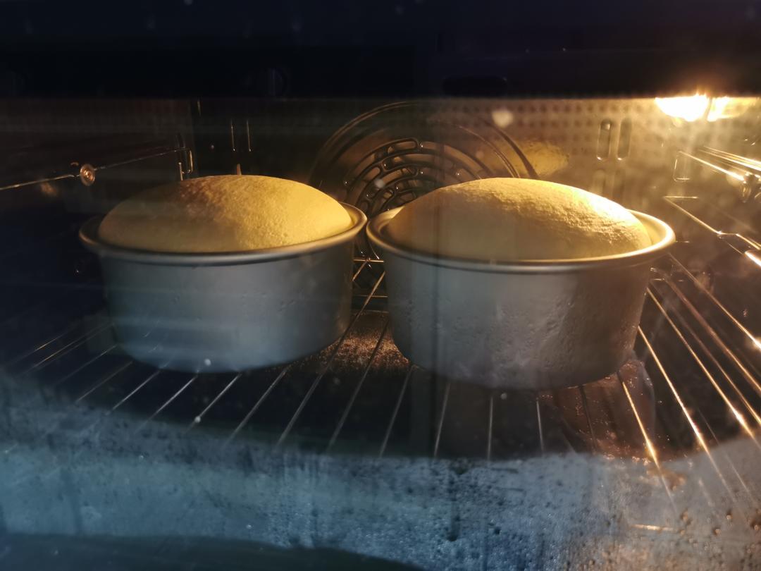 🧀️乳酪蛋糕🍰