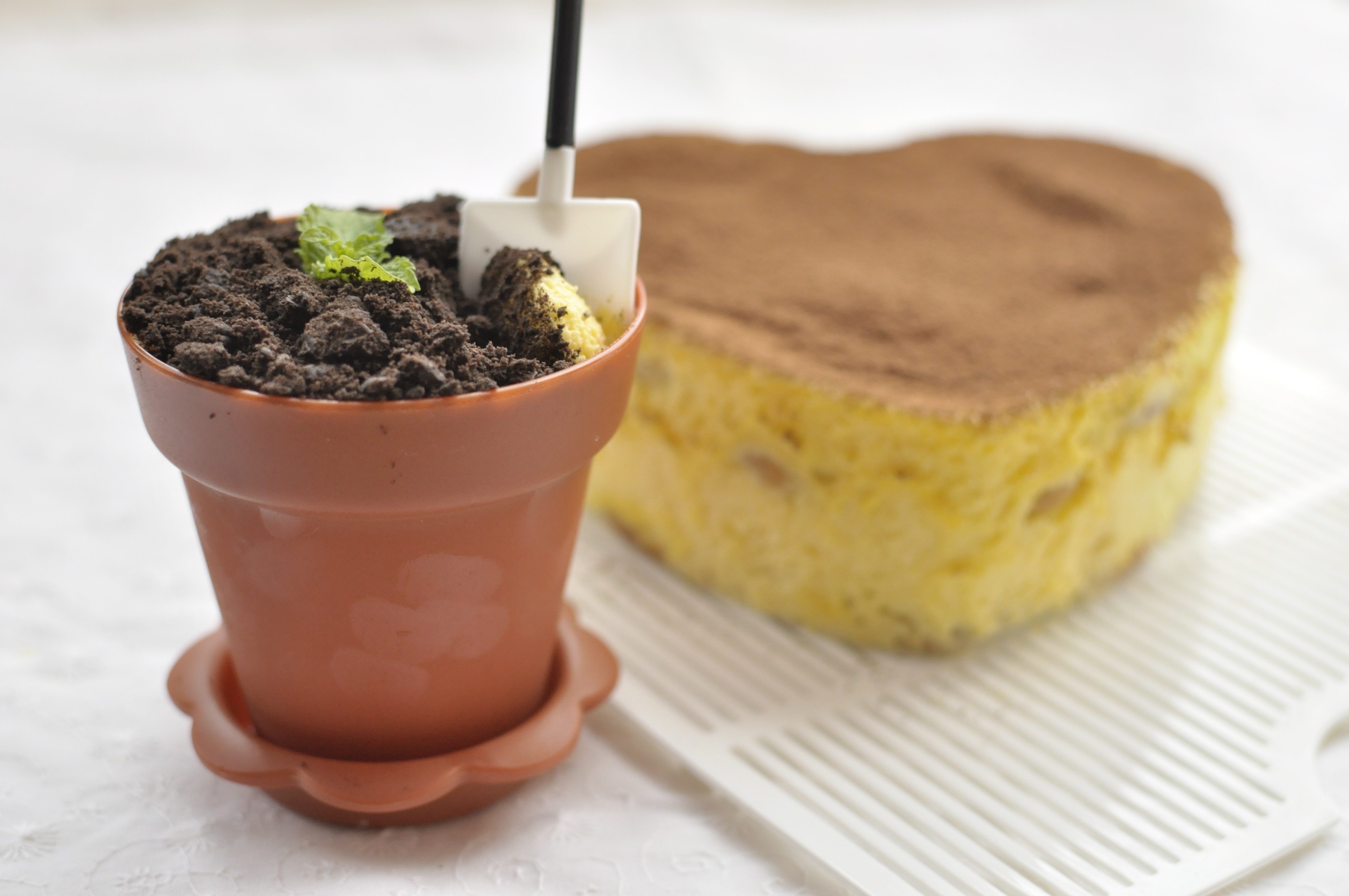 《Tinrry+》提拉米苏